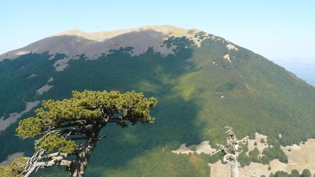 Il Belvedere Civita Exterior foto