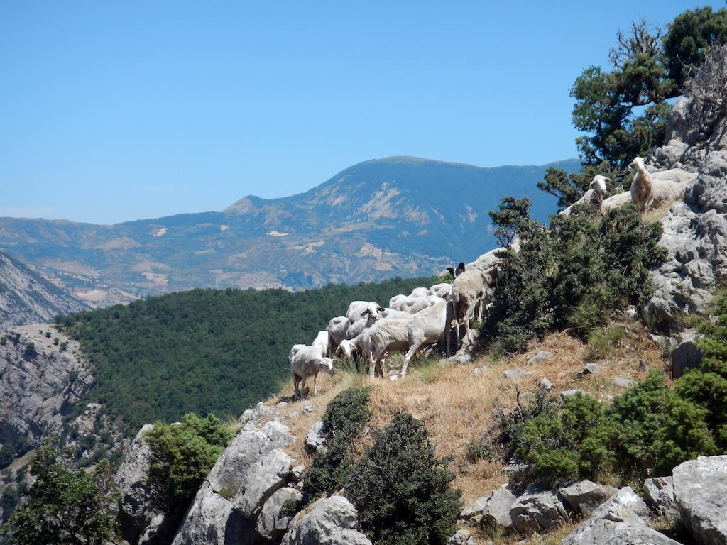 Il Belvedere Civita Exterior foto